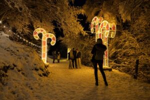 Personas disfrutando de decoraciones navideñas en un entorno nevado