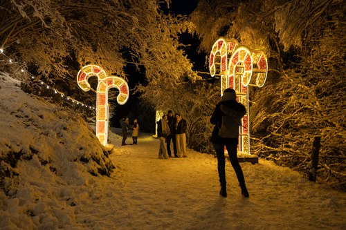 Personas disfrutando de decoraciones navideñas en un entorno nevado
