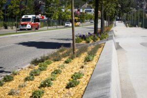 Autobuses en la calle de Andorra la Vella con vegetación