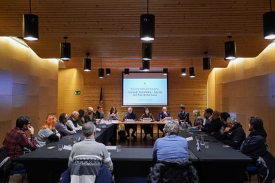 Reunión del Consell Econòmic i Social del Pas de la Casa para analizar ayudas