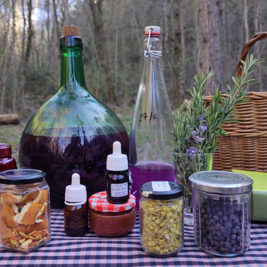 Botellas y frascos de ingredientes para un taller de xarop y melats