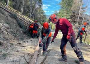 Cinc operaris del Comú de la Massana en formació sobre motoserra