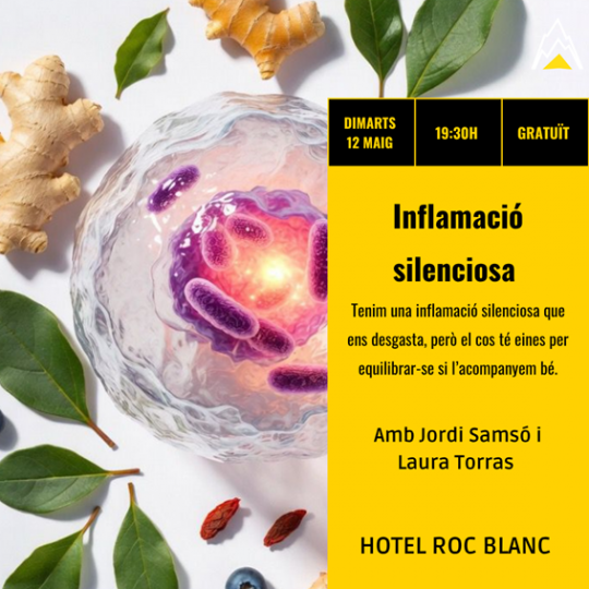 Imagen de la conferencia sobre inflamación silenciosa en Escaldes-Engordany