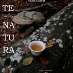 Fotografía de la exposición Te amb la Natura con té y naturaleza