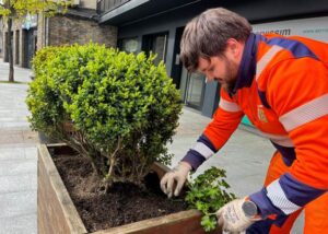 Trabajador plantando flores en un jardín público de La Massana