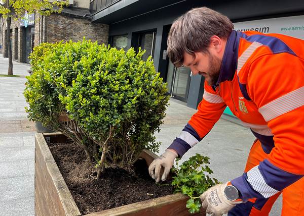 Trabajador plantando flores en un jardín público de La Massana