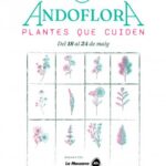 Actividad de plantación con escolares en la Massana para Andoflora 2026
